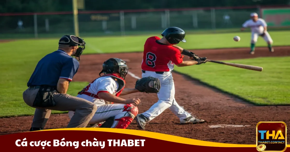 Cá cược Bóng chày THABET – Cách đọc kèo và phân tích